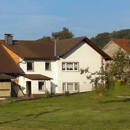 Ferienwohnung Auf Dem Pferdehof Schotten  Kültér fotó