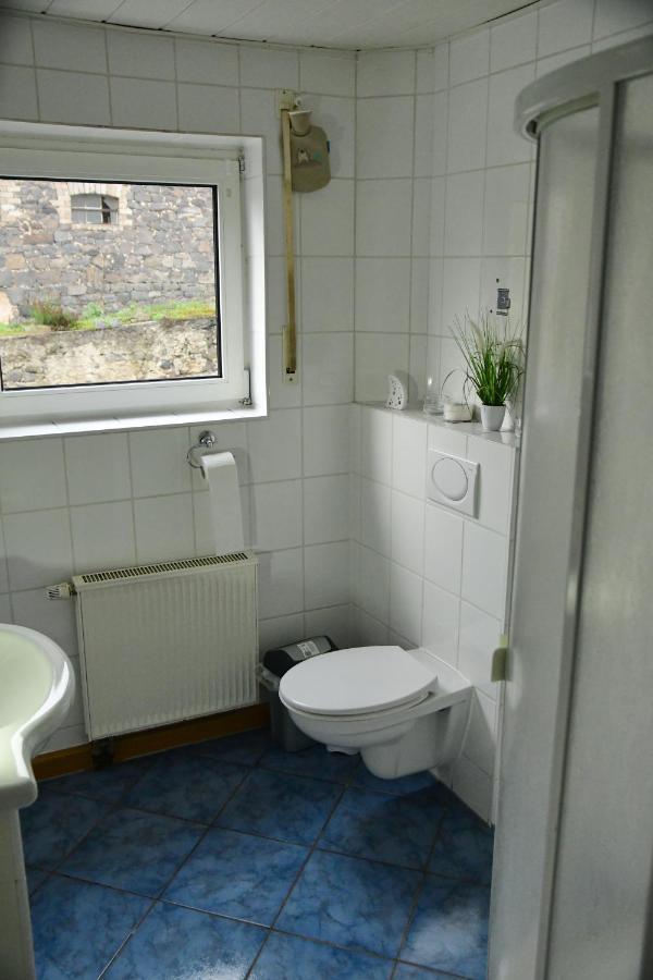 Ferienwohnung Auf Dem Pferdehof Schotten  Kültér fotó