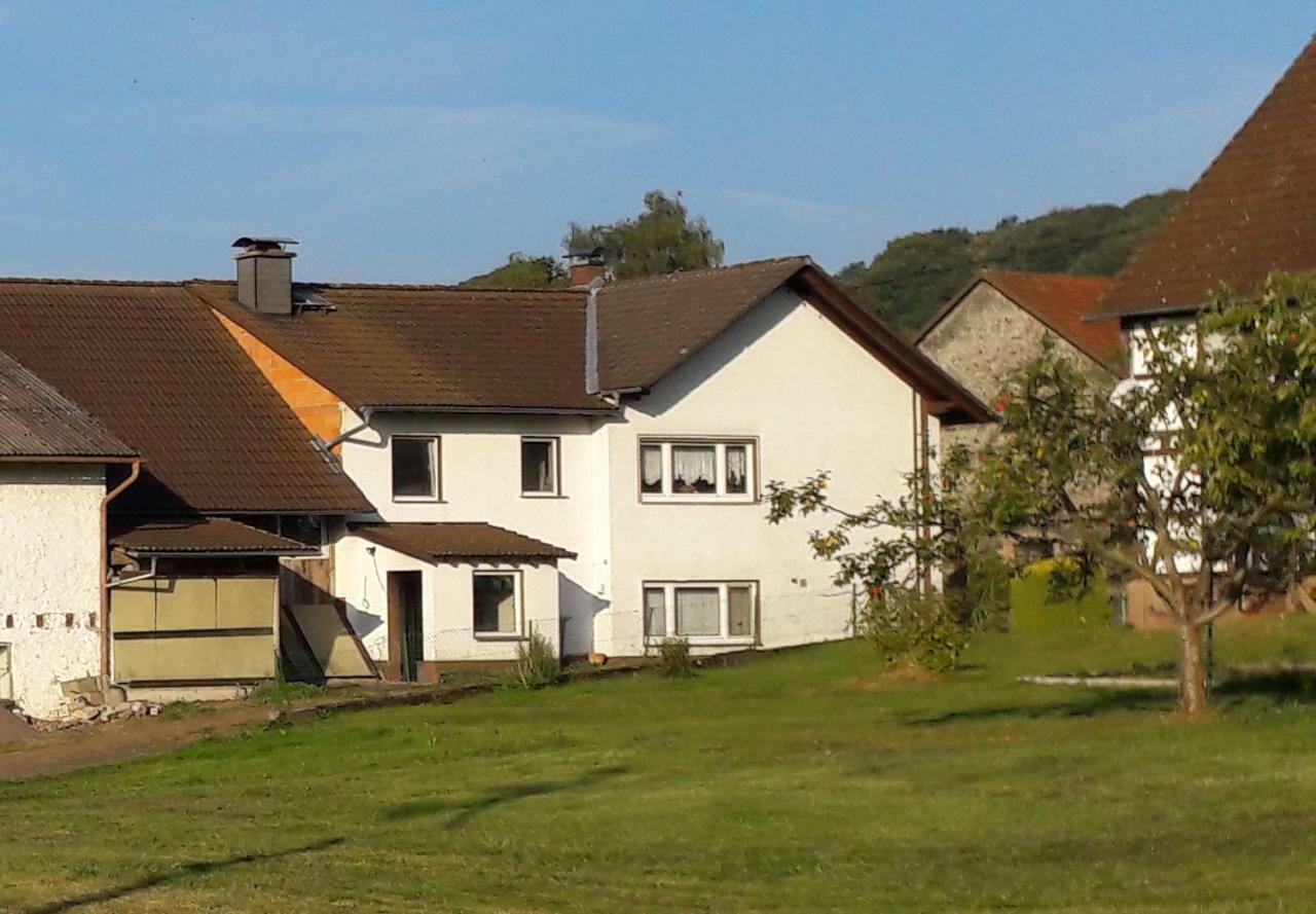 Ferienwohnung Auf Dem Pferdehof Schotten  Kültér fotó